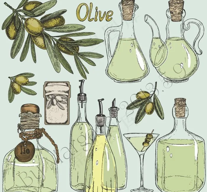 橄榄油瓶子图片