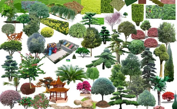 园林绿化设计景观树木图片