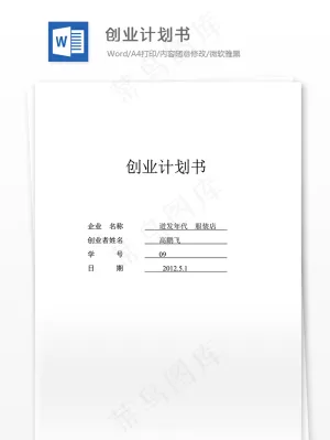 SYB创业计划书-高鹏飞预览图