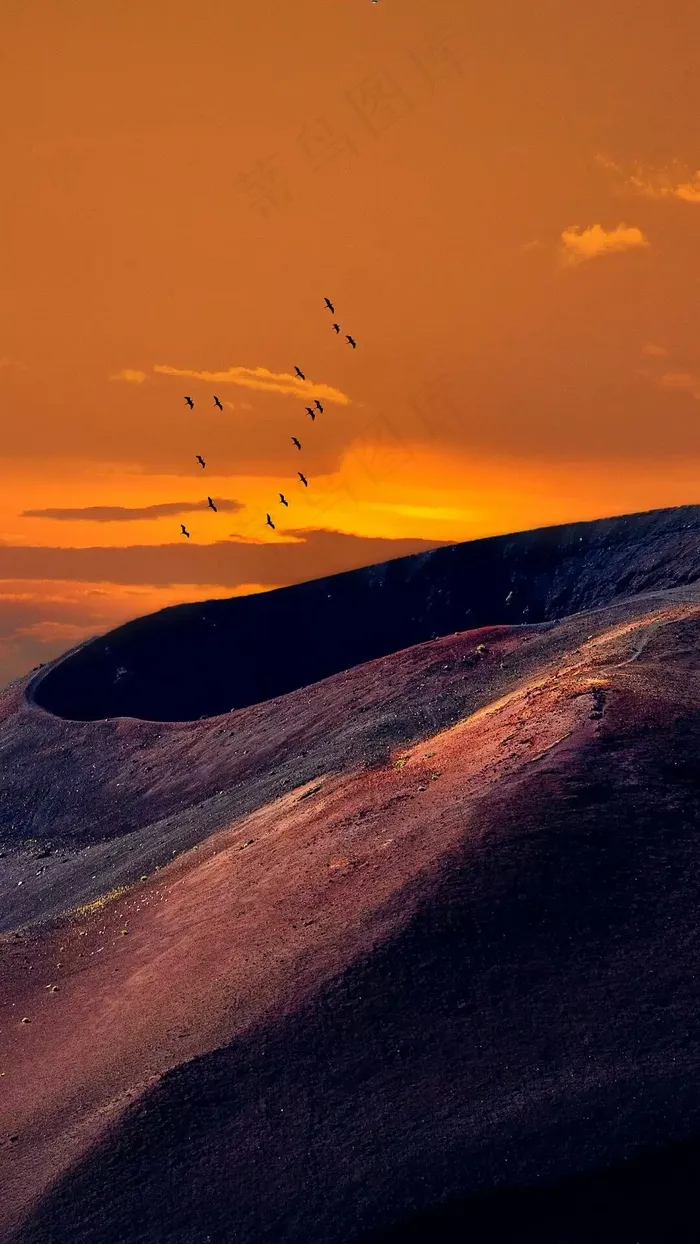 火山口上的鸟高清摄影图片