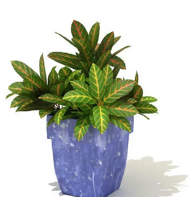 盆景植物3D模型、盆栽植物3D模型...