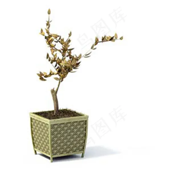 3D室内室外装饰植物盆景盆栽模型