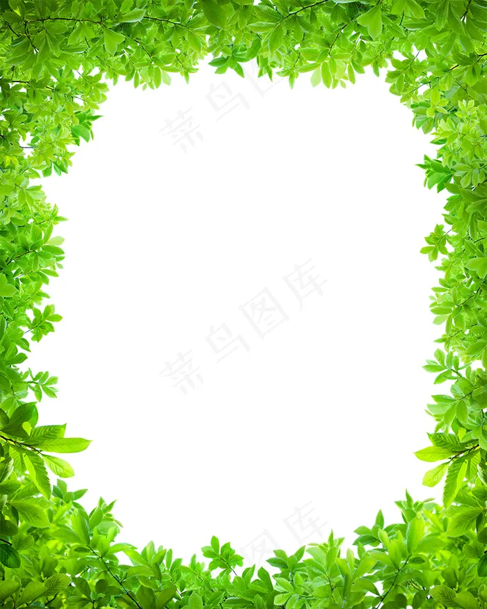 绿叶边框 绿色树叶 绿色树叶边框 底图