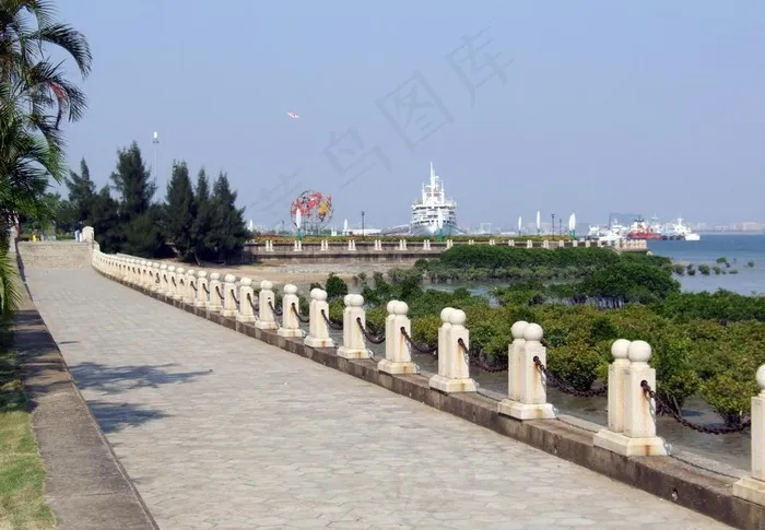 湛江观海长廊 海边 红树林图片