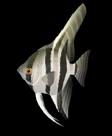 动物鱼类3d模型动植物模型免费下载...