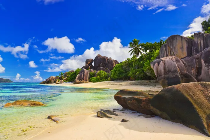 热带海滩 椰树图片