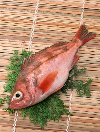 生鲜红杉鱼图片