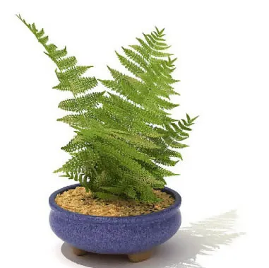 盆景植物3D模型、盆栽植物3D模型...