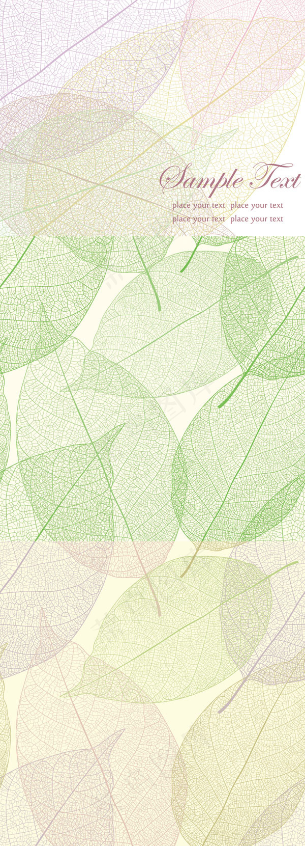 精致叶脉01矢量素材