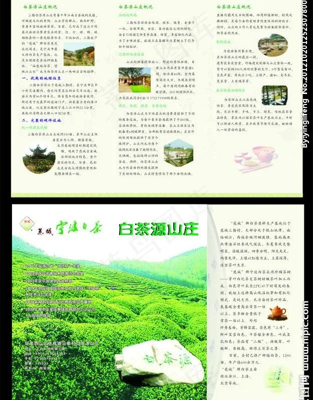 白茶源山庄图片