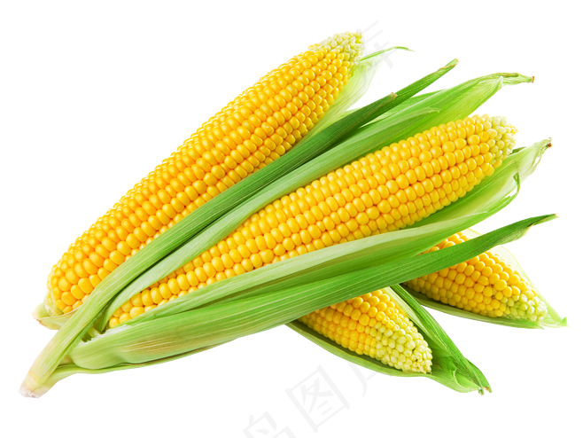 美味玉米颗粒海报png素材