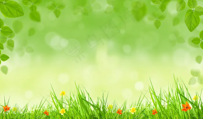 花草绿叶春天气息背景高清图片