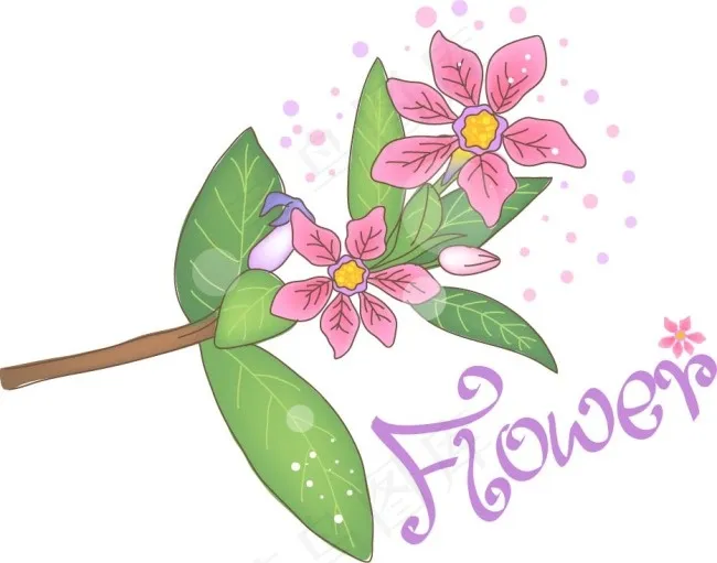 手绘素描花朵植物图案