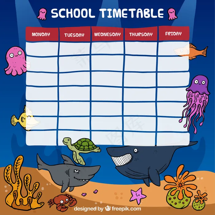 海洋动物学校时间表