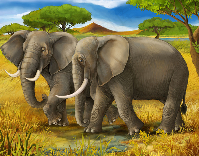 草地上的大象图片