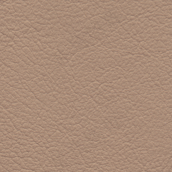 菜鸟图库提供高质量设计素材下载,           