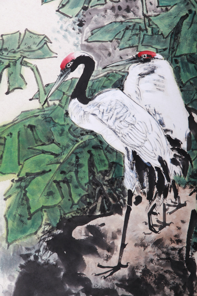 云鹤- 菜鸟图库