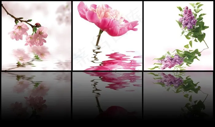 花朵倒影三联画图片
