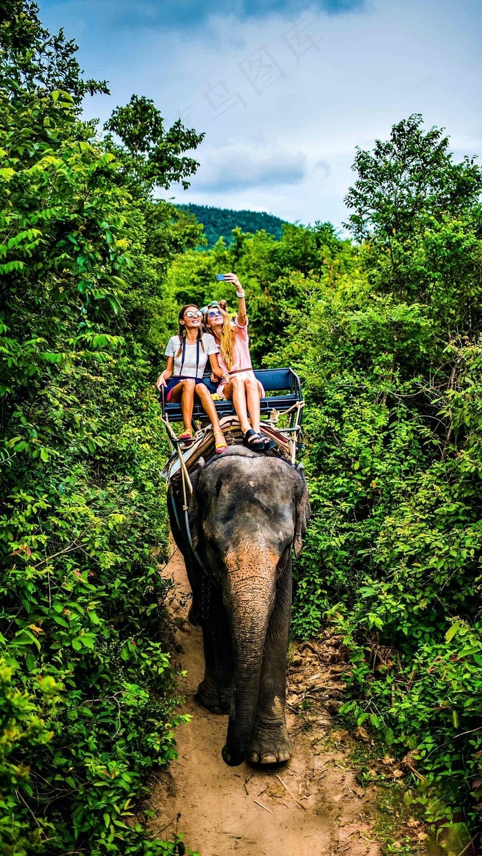 坐在大象上的外国美女高清摄影图片