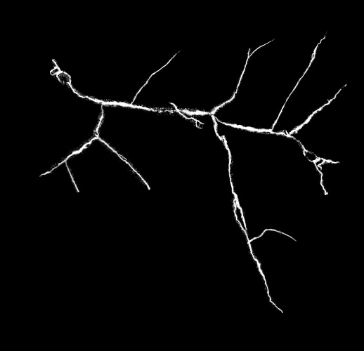 散开的裂痕ae特效模板 菜鸟图库提供高质量设计素材下载, 本素材作品