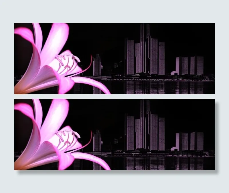 紫色兰花女性网页模板
