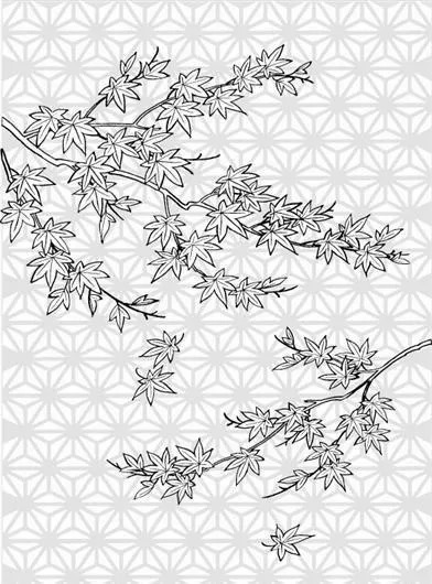 枫叶线描植物花卉矢量素材02