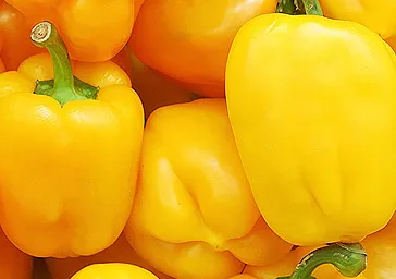 果蔬种植场网站HTML5模板