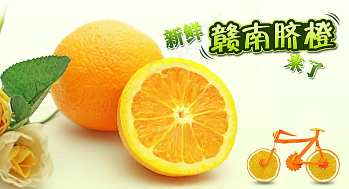 橙子 赣南脐橙 水果图片