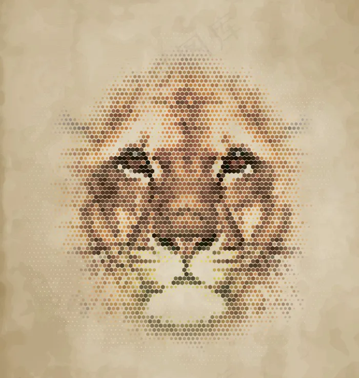 动物头像 狮子图片