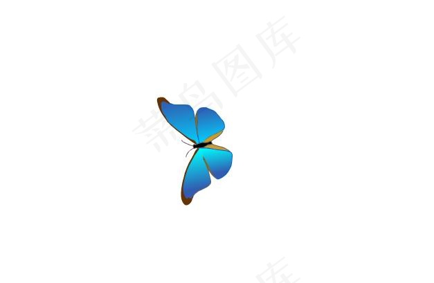 蝴蝶动画