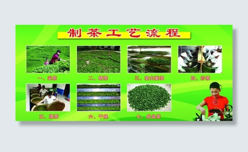 制茶工艺流程图片