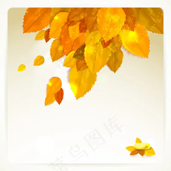 秋天树叶矢量图片