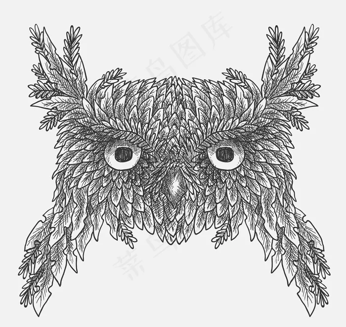 猫头鹰头像素材素描