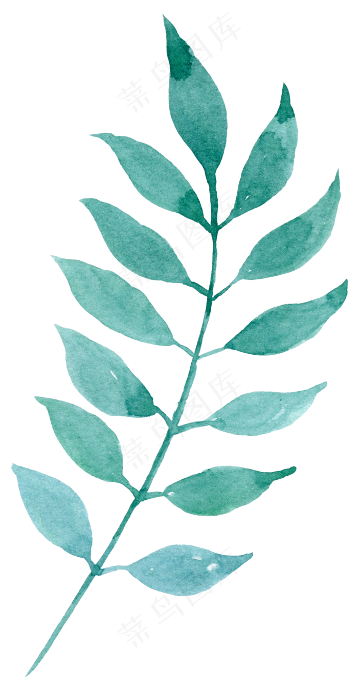 水彩画绿叶叶子png免抠素材(1150x1999)