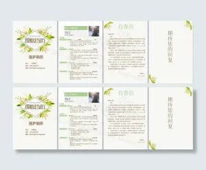 医生医院个人简历模板预览图