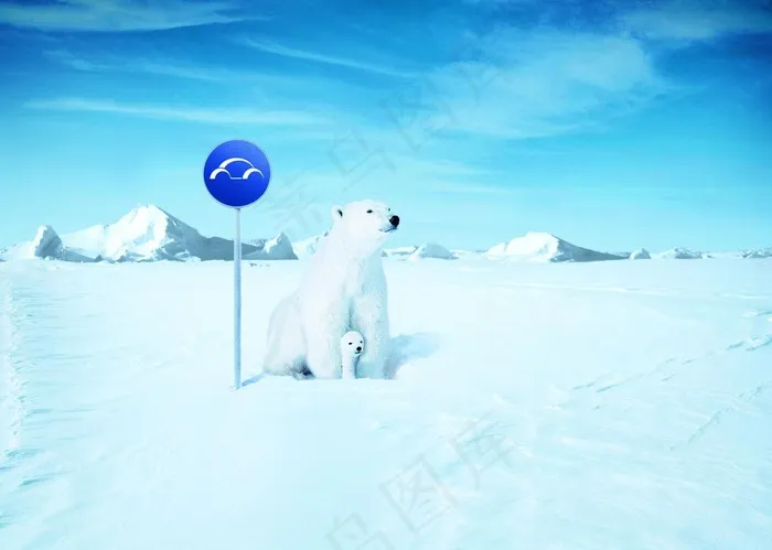 冰天雪地 北极熊图片