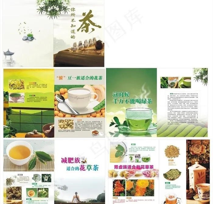 茶杂志版式设计图片