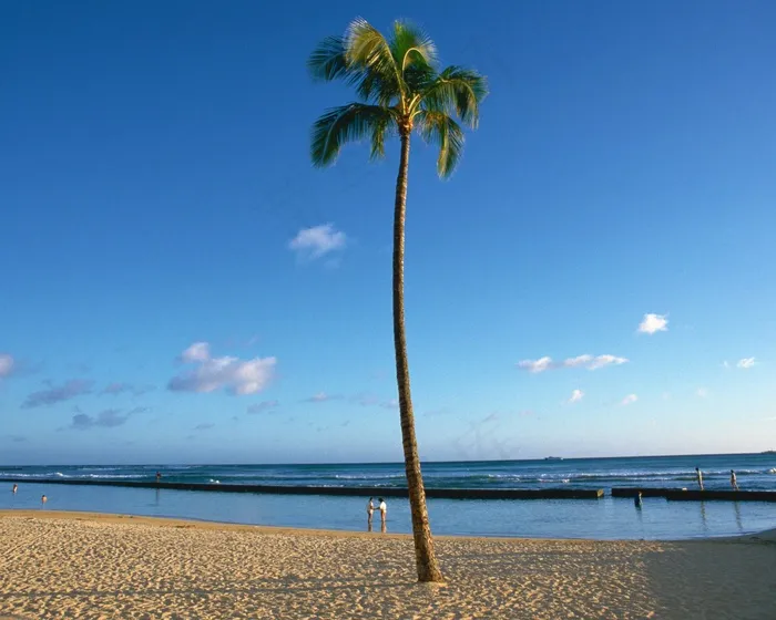 夏威夷海滩图片
