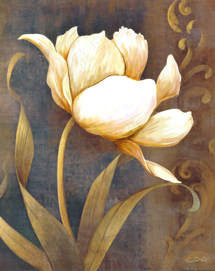 白色的花朵油画