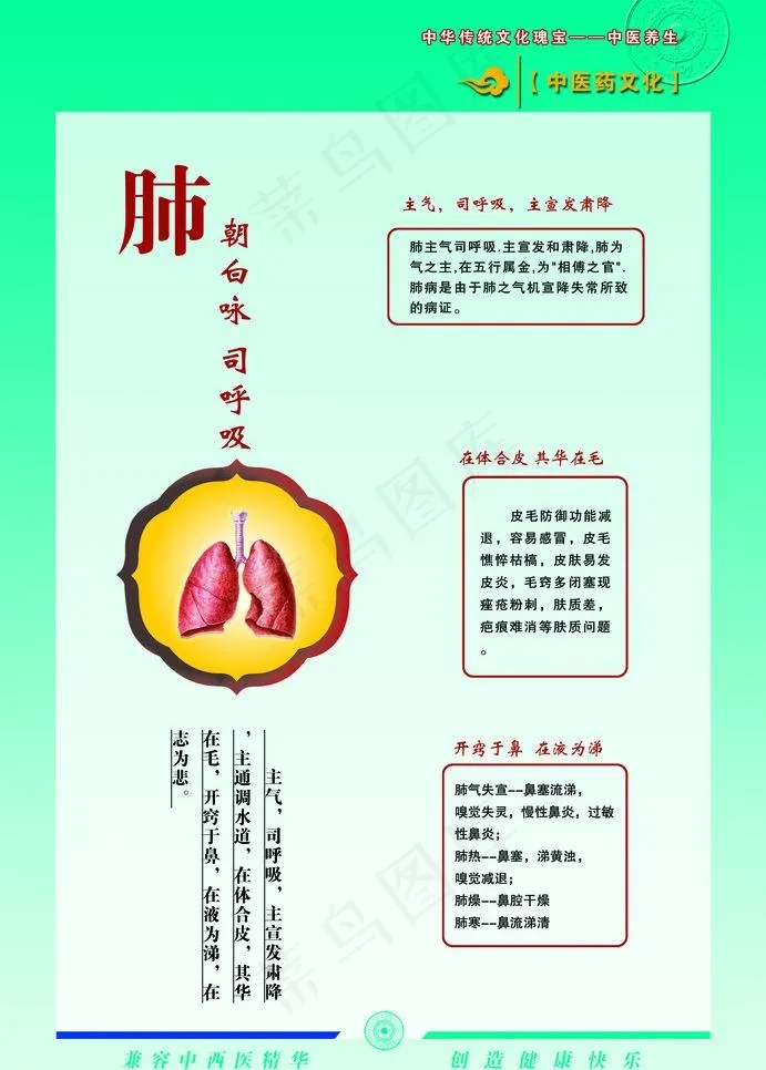 肺功能图片