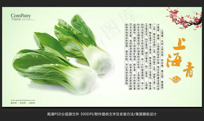 蔬菜展板设计上海青海报招贴广告设计