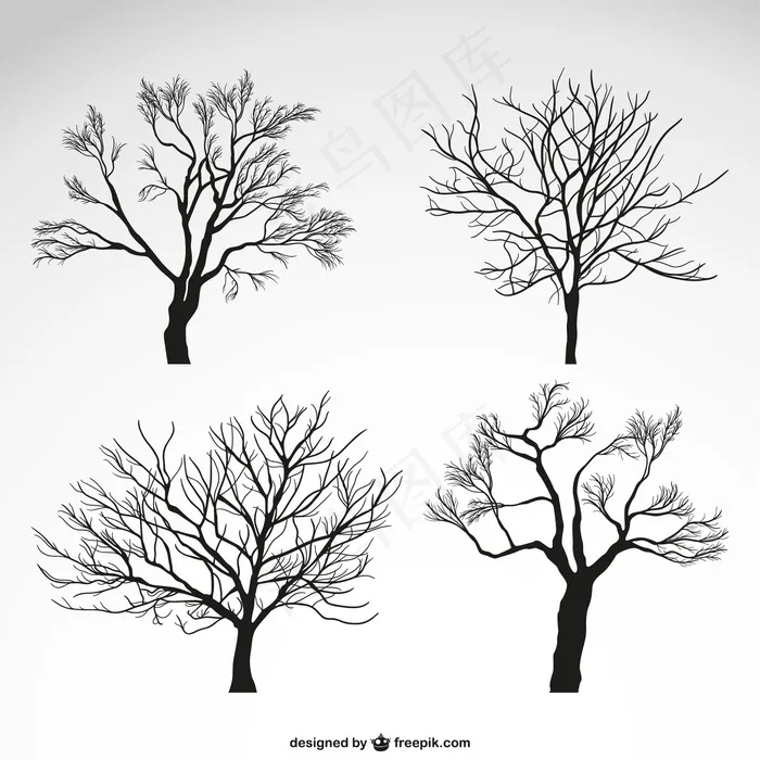冬天的树的剪影