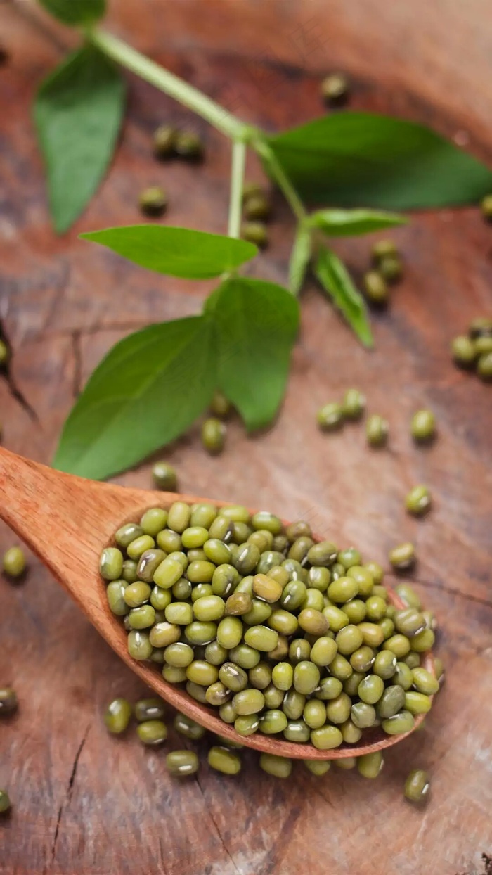 绿豆高清摄影图片 - 菜鸟图库