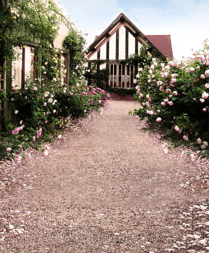 玫瑰花装点的房子影楼摄影背景图片
