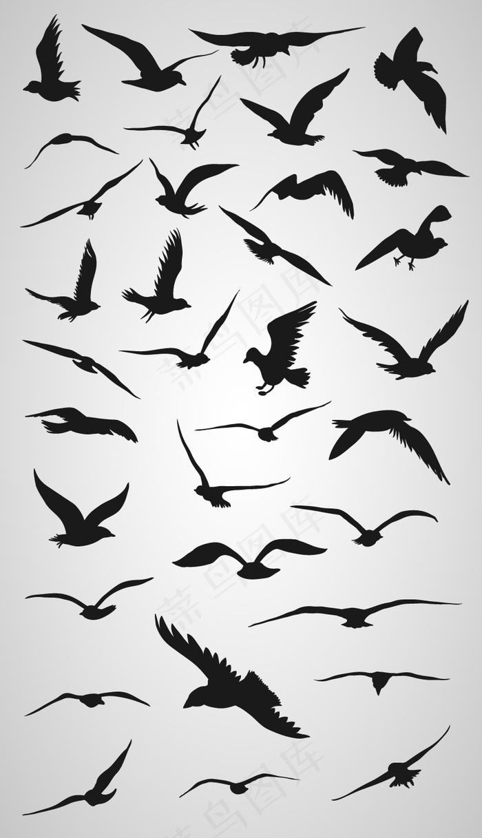   本素材作品名称为各种飞鸟剪影