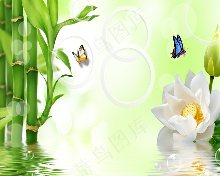 水中竹子荷花壁画壁纸背景墙 菜鸟图库 水中竹子荷花壁画壁纸背景墙 菜鸟图库