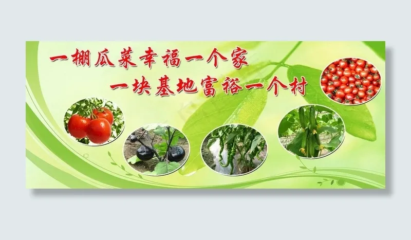 农村大棚蔬菜海报图片
