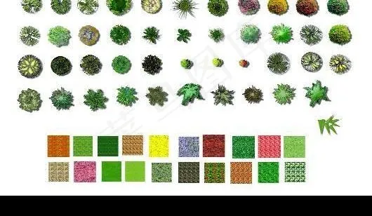 PS彩色平面植物（彩平图素材）