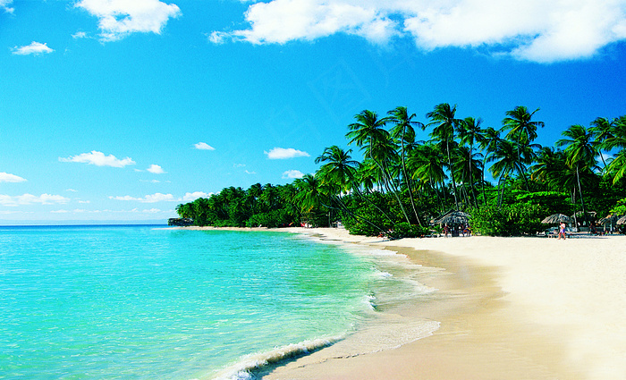 夏日海滩椰树图片平面/广告设计