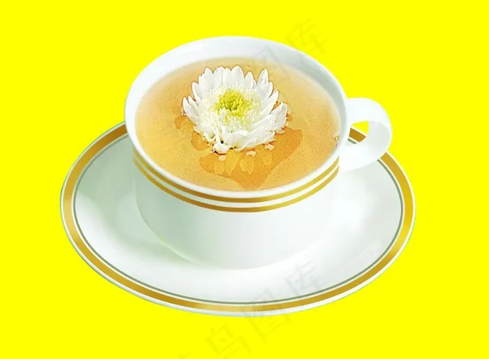 菊花茶图片
